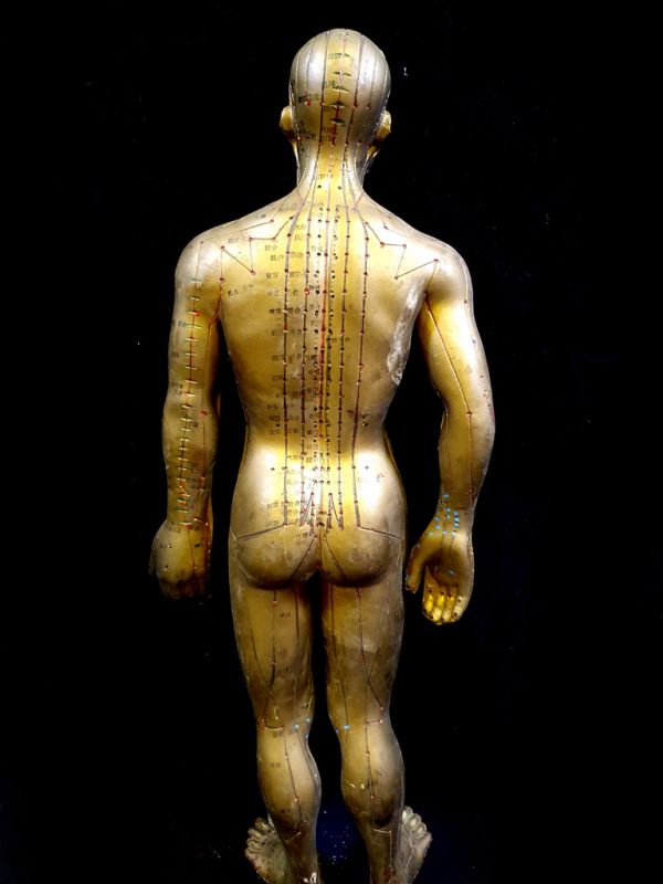 Ancient Chinese Acupuncture Statue - Plastic - Bronze effect man 2 4