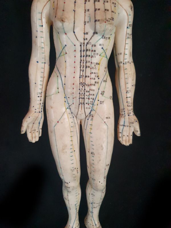 Ancient Chinese Acupuncture Statue - Plastic - Woman 7 3