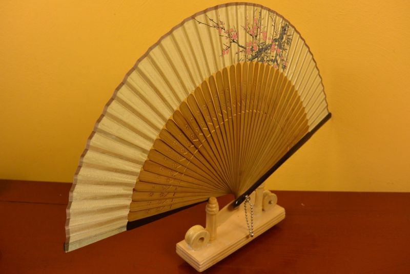 Asiatischen Fächer 5