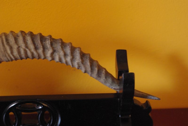 Chinesische Pinsel Aus Antelope Horn 4